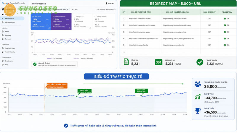 Ảnh log GSC, file redirect map, biểu đồ traffic thực tế Ảnh log GSC, file redirect map, biểu đồ traffic thực tế