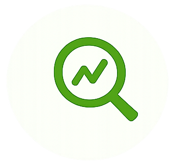 icon audit website 1