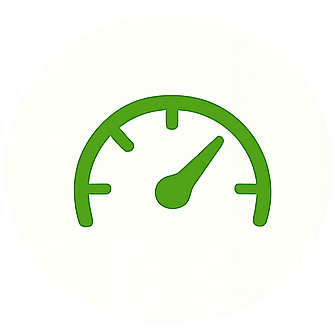 icon audit website 2