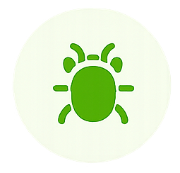 icon audit website 4