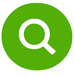 icon audit website 8