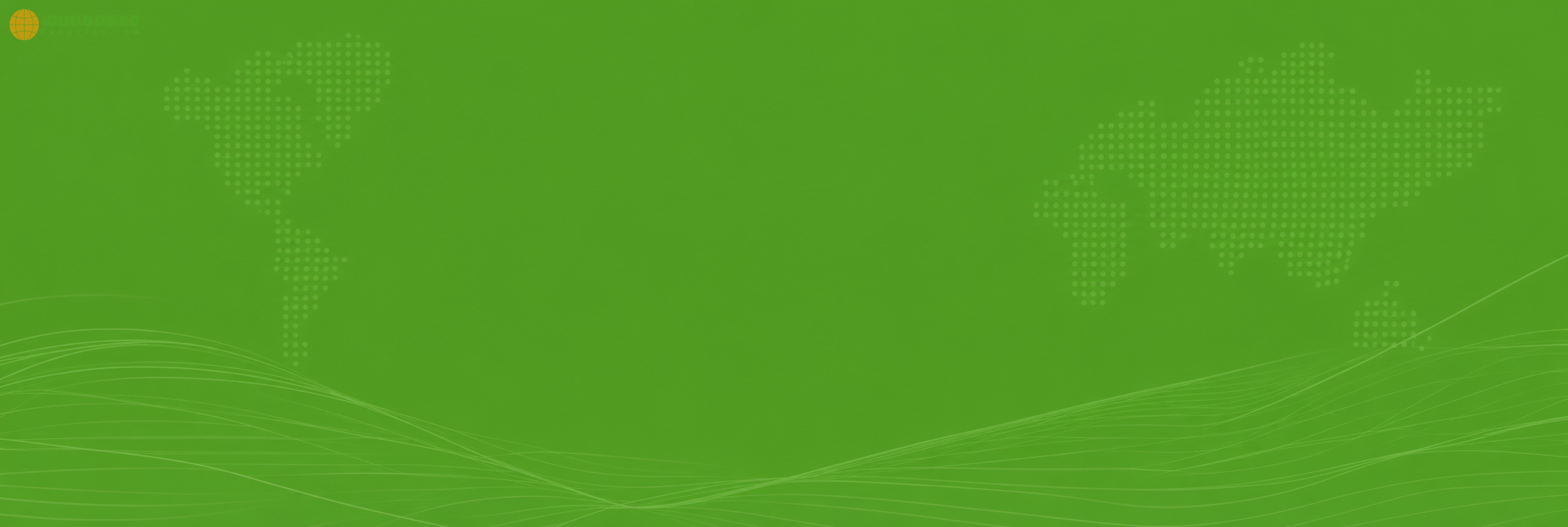 Global 20 background dich vu seo global